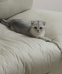 һ������Լ�������ʲô��������Ϊ��˧�ĸо�����б�ð����