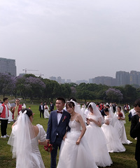 520���빫԰�ٰ��˴��ͼ�����񣬳����׳��