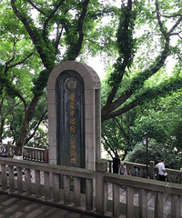 520当天我去逛了人民公园相亲角,人山人海,发现不适合年轻人