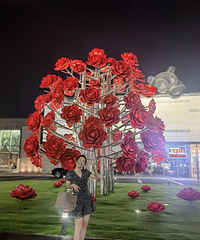 94��ľ�з�������������飬ϣ���Է������ȶ�