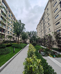 ����һ������Ѿ������������̻�С����Щ������ѽ