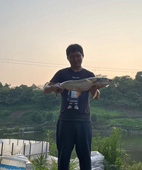 32173CMйҵĸ飬ϣԷТ