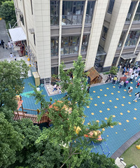 �������飡���Ӳ�Ҫ�����׶�԰�Աߣ������ⲻס��