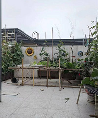 ڸ168ƽҵڴ¶̨ձ˲԰