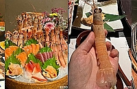 ���400+�����������ͣ����˾���Ʒ�ʺ�����