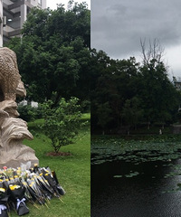 西南大学一日游,好久没去修好了