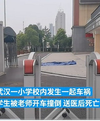 小学生在校内被老师开车撞倒,送医抢救后死亡