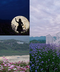 这个免费公园拍照太绝了,白天黑夜都出片
