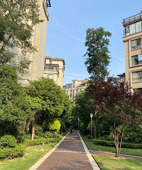 ����õ�Ҽ�ź��ϣ���ĸɽ�ı��֮һ����ֵ����