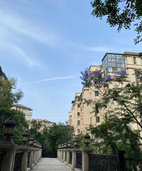 ����õ�Ҽ�ź��ϣ���ĸɽ�ı��֮һ����ֵ����