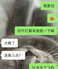 �賿12���·ɻ�����Ҫ����������������һ�£�����Ը�⣬�ҽ��飿