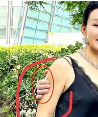 73���ƹ�ǿЯС12�꽿�ޣ���������������ӵ��������§�³�̫����