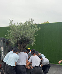 ˵˵�ӷ�����������ס´�ý��ǵ���ʵ���ܡ�