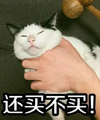 38�����ʮ����һֱ������·�����ò��úݺ���ȥʵ��һ������