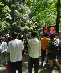 200ԪƱˣ4żҽɭֹ԰ˣˮ