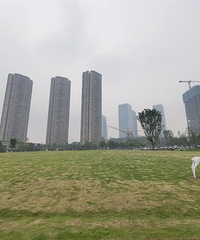 �����첿�ֽ������