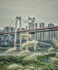 �ո�������԰����