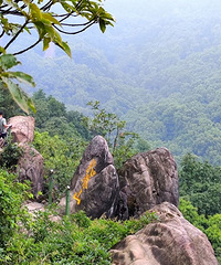 ͽ���������õ������ط������ͳɱ�����