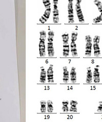 ̥�����XYY���ۣ�����˵���ֺ����������Ļ���