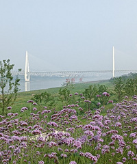 ���δ�ɿڣ�ϴ�軬ʯ̲