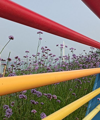 ���δ�ɿڣ�ϴ�軬ʯ̲