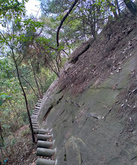 ɽյһ˻еС£ҾȻ˿ʯ