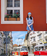 96��162CM�ĺ���˶ʿ�������飬�Ĵ�����ʽԱ��