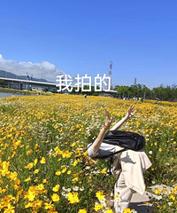 ���������ƬΪʲô�Ĳ�����Ҫ�ĸо�����û�ж�����˵˵