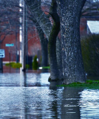 ��Щ��Ĵ��꣬�����Ƕ�����Դ�����ֶ���һЩ����ʶ