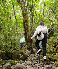 ����ͽ����·�Ƽ������ϴ�ʯ�˷壬����һ����ɽС��