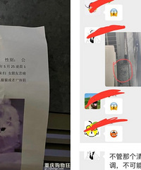 邻居家猫跳窗,该谁去清理收尸?