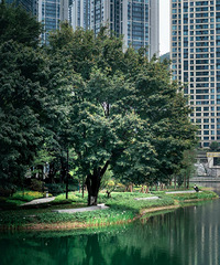 ̫ϲ����������ˣ��ǲ�����������С�ʷ�������