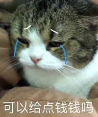 �������������˰����6���𵽵���û�У����ڴ�