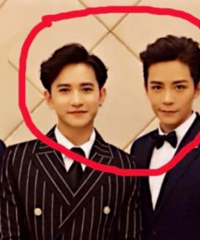 ��ѩ��Ҳ����ɶ������к�������