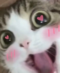 ����þÿ��̣�����