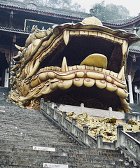 �Ƴ�����