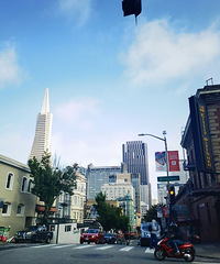 2023�ɽ�ɽ��ѧ