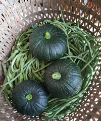 ��������޻�����ӥ���ҹ����˹����˶�ĳԲ��꣬ˮ���߲˴����