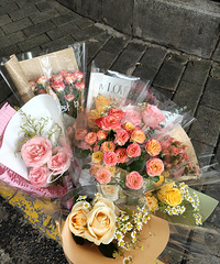 �����γ�̯��������û��ѡ��ȥ���ֵ�ҹ�У����Ӫҵ��124