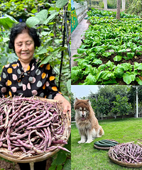 ˵صĻԻʱ̣ȫֵģļ