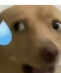 �²������ô�ż���������ڱ�Ⱥ���ˡ���