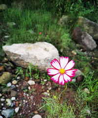 94��168CM������ְҵ�������飬ϣ���Է����Ҹ߻���һ����