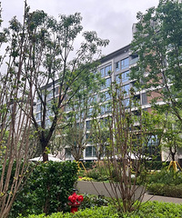 ��С�����ؿ����գ����Ż�����