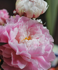 ��������ú��Ҹ�������ô����