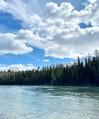 ��Ҫȥһ���½��ɡ�