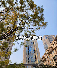 ������300W�������ʸ�����Ŀ�̵㣡