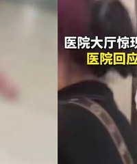 �и���������ӱ�������ҽԺ���������ϻ�����̥��