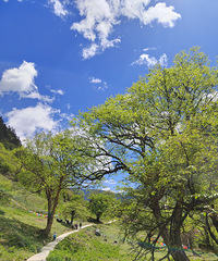 ȥ��������ս�ɽ������һ�Ķ��ǵ���������ס�Ƶ��˳�̫�Ҹ���