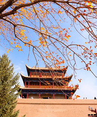 ҵʧܽ᣺еĹϵһǰغ