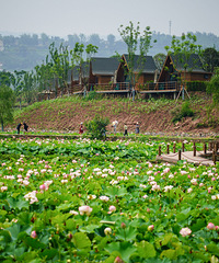 ������ӵĺɻ����㿴������Ʒ�֣�